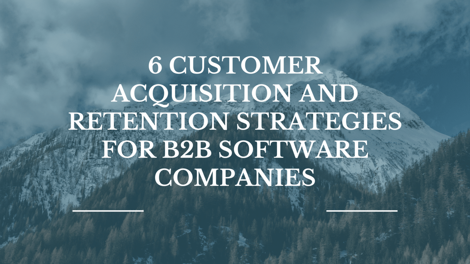 6 Customer Acquisition and Retention Strategies for B2B Software ...